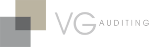 VG auditing