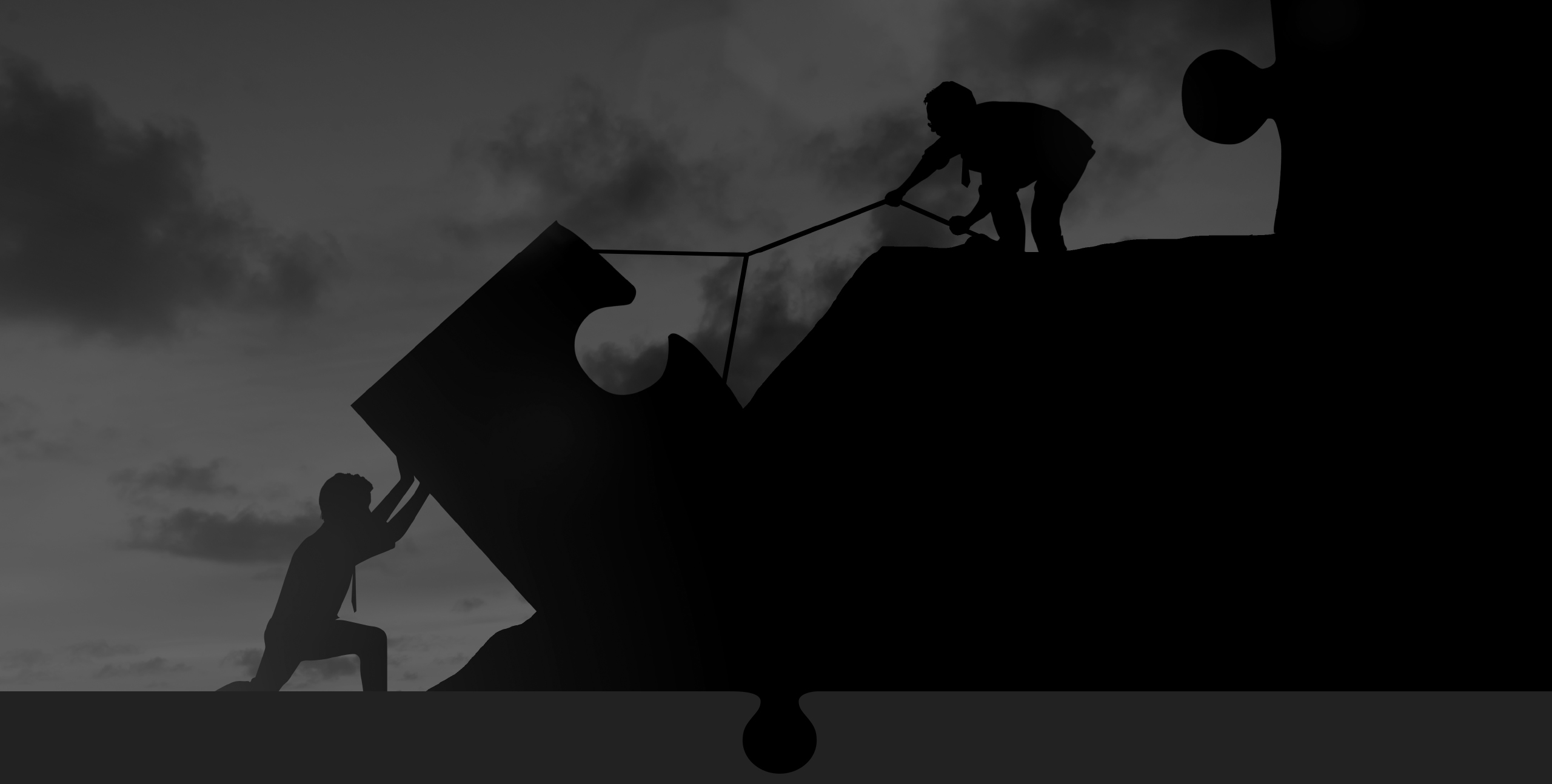 copertina puzzle insieme