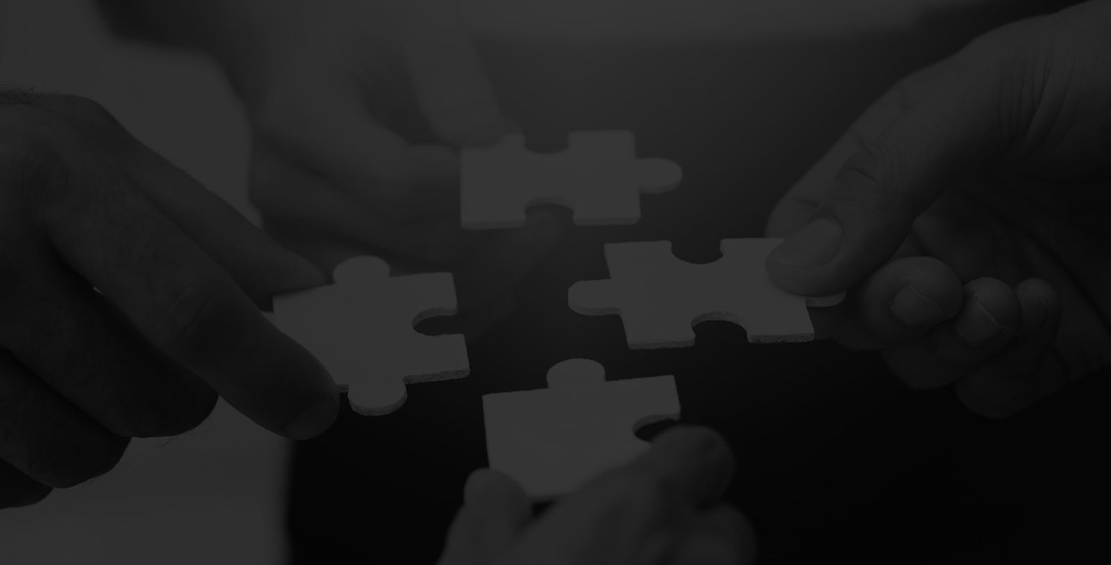 immagine copertina puzzle