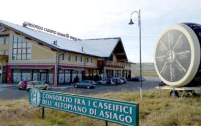CONSORZIO ASIAGO, GIARETTA È IL COMMISSARIO LIQUIDATORE